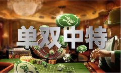 澳门老鼠是哪个数字V